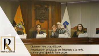 Dictamen Nro. 3-20-EE/20A